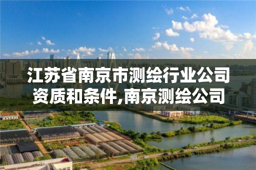 江苏省南京市测绘行业公司资质和条件,南京测绘公司有哪些。