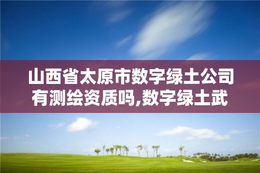 山西省太原市数字绿土公司有测绘资质吗,数字绿土武汉公司怎么样。