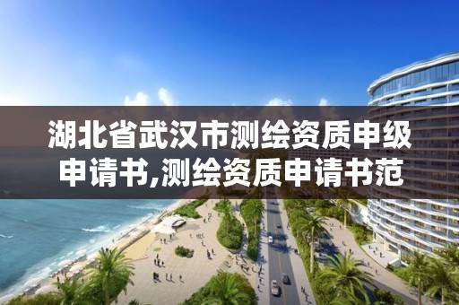 湖北省武汉市测绘资质申级申请书,测绘资质申请书范文。