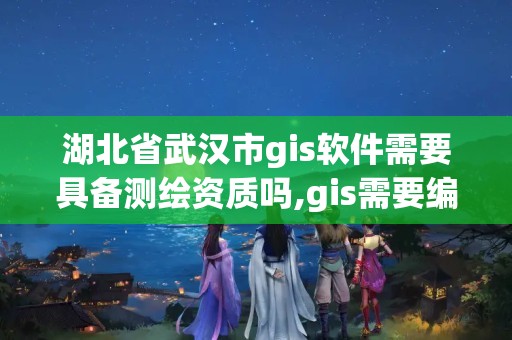 湖北省武汉市gis软件需要具备测绘资质吗,gis需要编程吗。