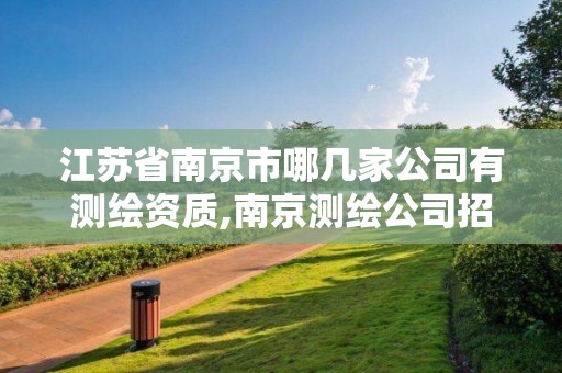 江苏省南京市哪几家公司有测绘资质,南京测绘公司招聘。