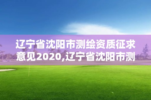 辽宁省沈阳市测绘资质征求意见2020,辽宁省沈阳市测绘资质征求意见2020年11号。