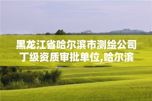 黑龙江省哈尔滨市测绘公司丁级资质审批单位,哈尔滨测绘局是干什么的。