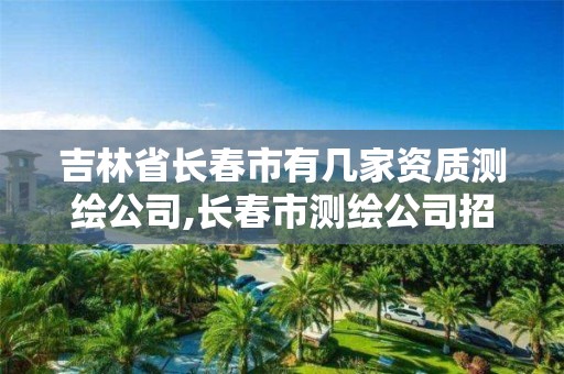 吉林省长春市有几家资质测绘公司,长春市测绘公司招聘。