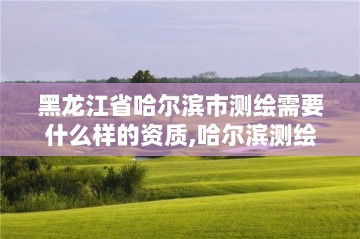 黑龙江省哈尔滨市测绘需要什么样的资质,哈尔滨测绘局是干什么的。