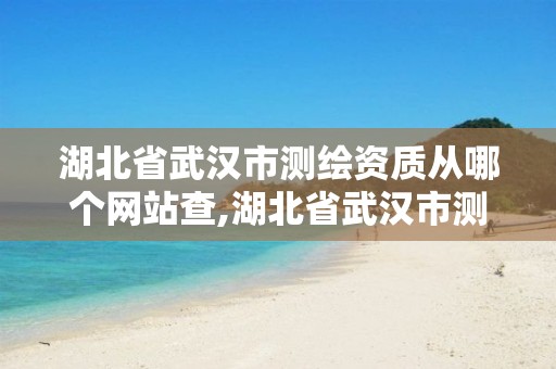 湖北省武汉市测绘资质从哪个网站查,湖北省武汉市测绘资质从哪个网站查的。