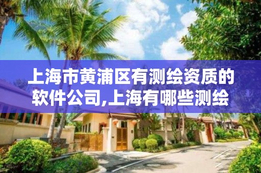 上海市黄浦区有测绘资质的软件公司,上海有哪些测绘公司。