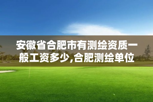 安徽省合肥市有测绘资质一般工资多少,合肥测绘单位。