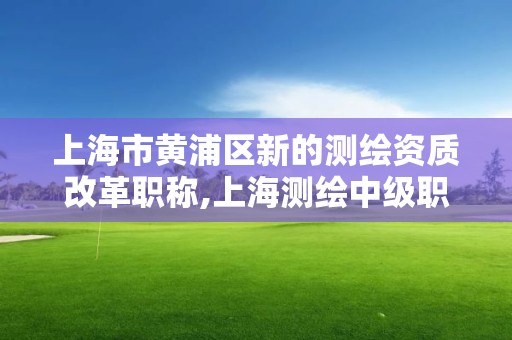 上海市黄浦区新的测绘资质改革职称,上海测绘中级职称申报条件。