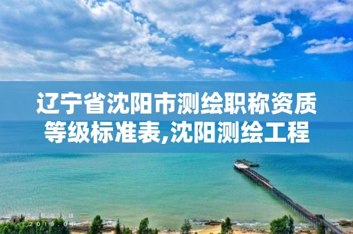 辽宁省沈阳市测绘职称资质等级标准表,沈阳测绘工程师招聘。