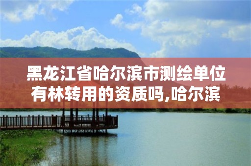 黑龙江省哈尔滨市测绘单位有林转用的资质吗,哈尔滨测绘局是干什么的。