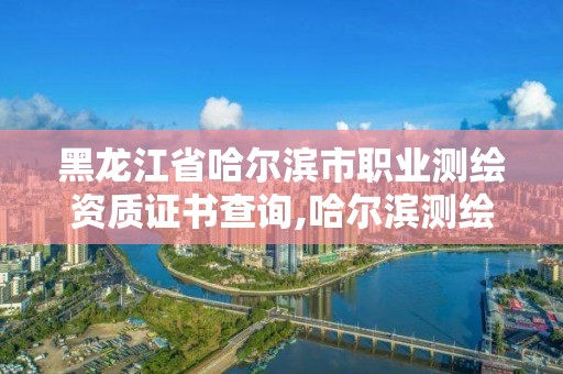 黑龙江省哈尔滨市职业测绘资质证书查询,哈尔滨测绘局工资怎么样。