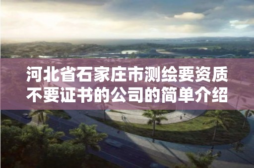 河北省石家庄市测绘要资质不要证书的公司的简单介绍