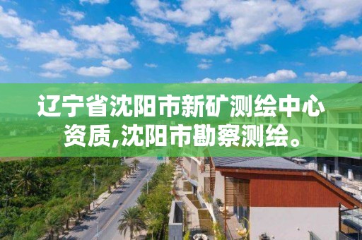 辽宁省沈阳市新矿测绘中心资质,沈阳市勘察测绘。