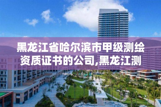 黑龙江省哈尔滨市甲级测绘资质证书的公司,黑龙江测绘公司乙级资质。