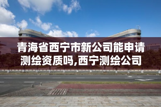 青海省西宁市新公司能申请测绘资质吗,西宁测绘公司联系方式。