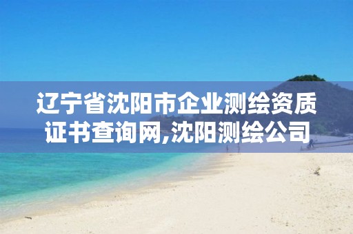 辽宁省沈阳市企业测绘资质证书查询网,沈阳测绘公司哪家强哪家好。