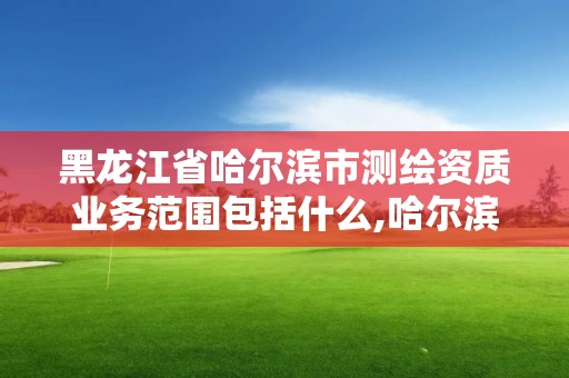 黑龙江省哈尔滨市测绘资质业务范围包括什么,哈尔滨测绘局幼儿园是民办还是公办。