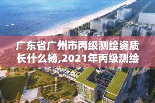 广东省广州市丙级测绘资质长什么杨,2021年丙级测绘资质申请需要什么条件。