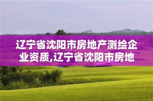 辽宁省沈阳市房地产测绘企业资质,辽宁省沈阳市房地产测绘企业资质查询。