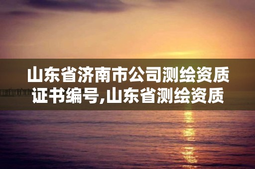 山东省济南市公司测绘资质证书编号,山东省测绘资质专用章图片。