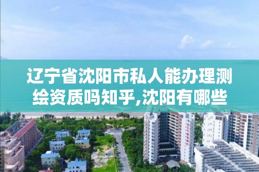 辽宁省沈阳市私人能办理测绘资质吗知乎,沈阳有哪些测绘公司招聘。