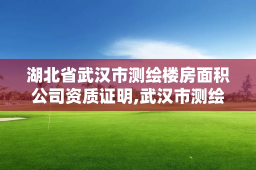 湖北省武汉市测绘楼房面积公司资质证明,武汉市测绘工程技术规定。