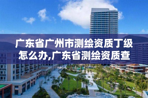 广东省广州市测绘资质丁级怎么办,广东省测绘资质查询。