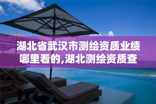 湖北省武汉市测绘资质业绩哪里看的,湖北测绘资质查询。