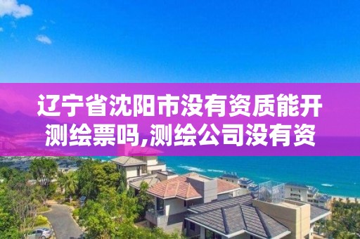 辽宁省沈阳市没有资质能开测绘票吗,测绘公司没有资质能开票。