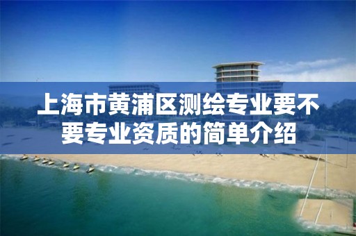 上海市黄浦区测绘专业要不要专业资质的简单介绍