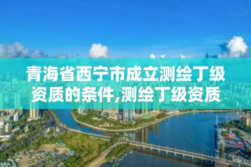 青海省西宁市成立测绘丁级资质的条件,测绘丁级资质申报条件。