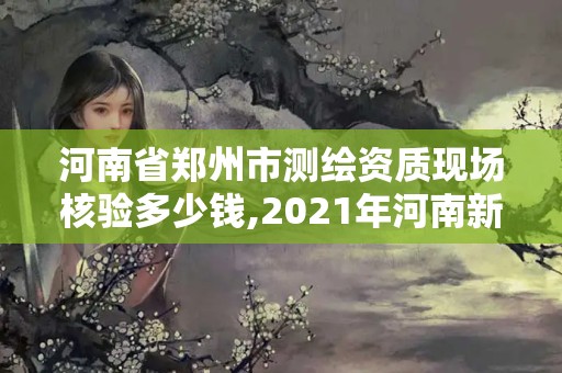 河南省郑州市测绘资质现场核验多少钱,2021年河南新测绘资质办理。