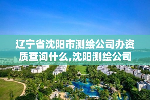 辽宁省沈阳市测绘公司办资质查询什么,沈阳测绘公司电话。