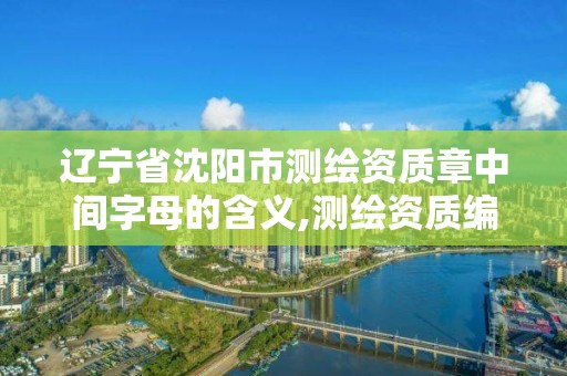 辽宁省沈阳市测绘资质章中间字母的含义,测绘资质编号。