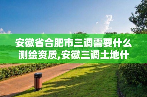 安徽省合肥市三调需要什么测绘资质,安徽三调土地什么时候能批下来。