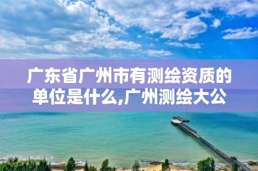 广东省广州市有测绘资质的单位是什么,广州测绘大公司有哪些。