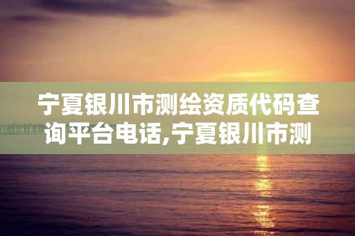 宁夏银川市测绘资质代码查询平台电话,宁夏银川市测绘资质代码查询平台电话是多少。