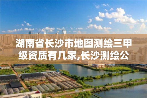 湖南省长沙市地图测绘三甲级资质有几家,长沙测绘公司资质有哪家。