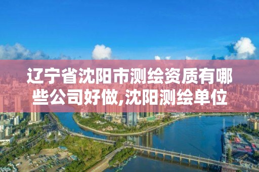 辽宁省沈阳市测绘资质有哪些公司好做,沈阳测绘单位排名。