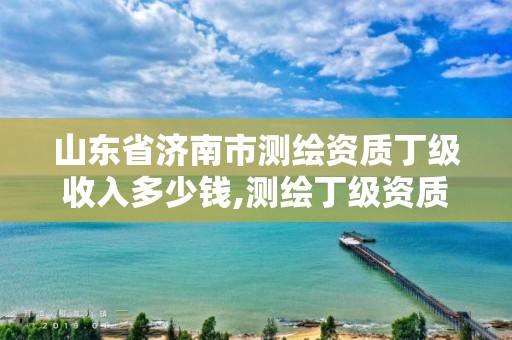 山东省济南市测绘资质丁级收入多少钱,测绘丁级资质要求。