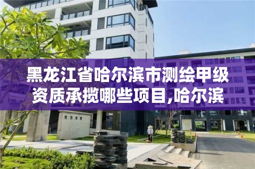 黑龙江省哈尔滨市测绘甲级资质承揽哪些项目,哈尔滨测绘公司哪家好。