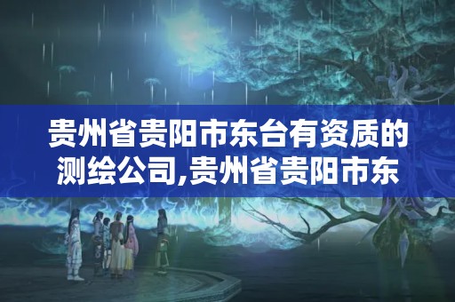 贵州省贵阳市东台有资质的测绘公司,贵州省贵阳市东台有资质的测绘公司有几家。