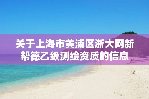 关于上海市黄浦区浙大网新帮德乙级测绘资质的信息