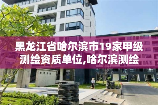 黑龙江省哈尔滨市19家甲级测绘资质单位,哈尔滨测绘公司哪家好。