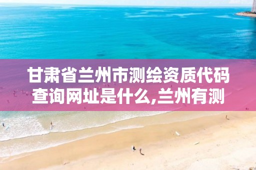 甘肃省兰州市测绘资质代码查询网址是什么,兰州有测绘资质的公司有。