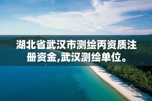 湖北省武汉市测绘丙资质注册资金,武汉测绘单位。