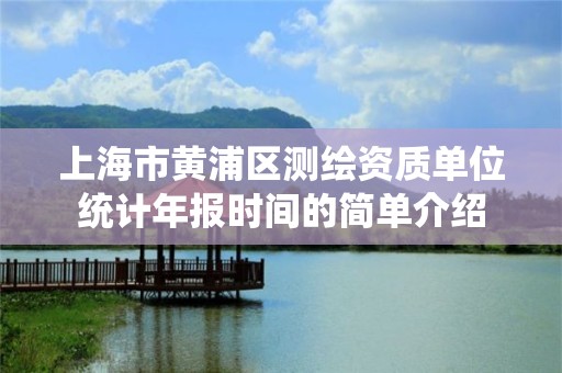 上海市黄浦区测绘资质单位统计年报时间的简单介绍