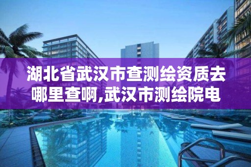 湖北省武汉市查测绘资质去哪里查啊,武汉市测绘院电话。