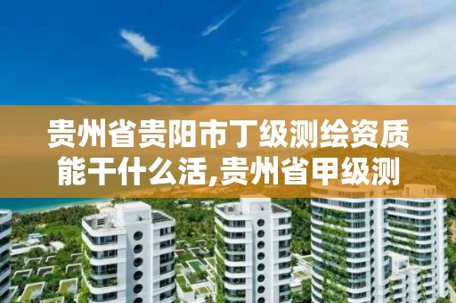 贵州省贵阳市丁级测绘资质能干什么活,贵州省甲级测绘资质单位。